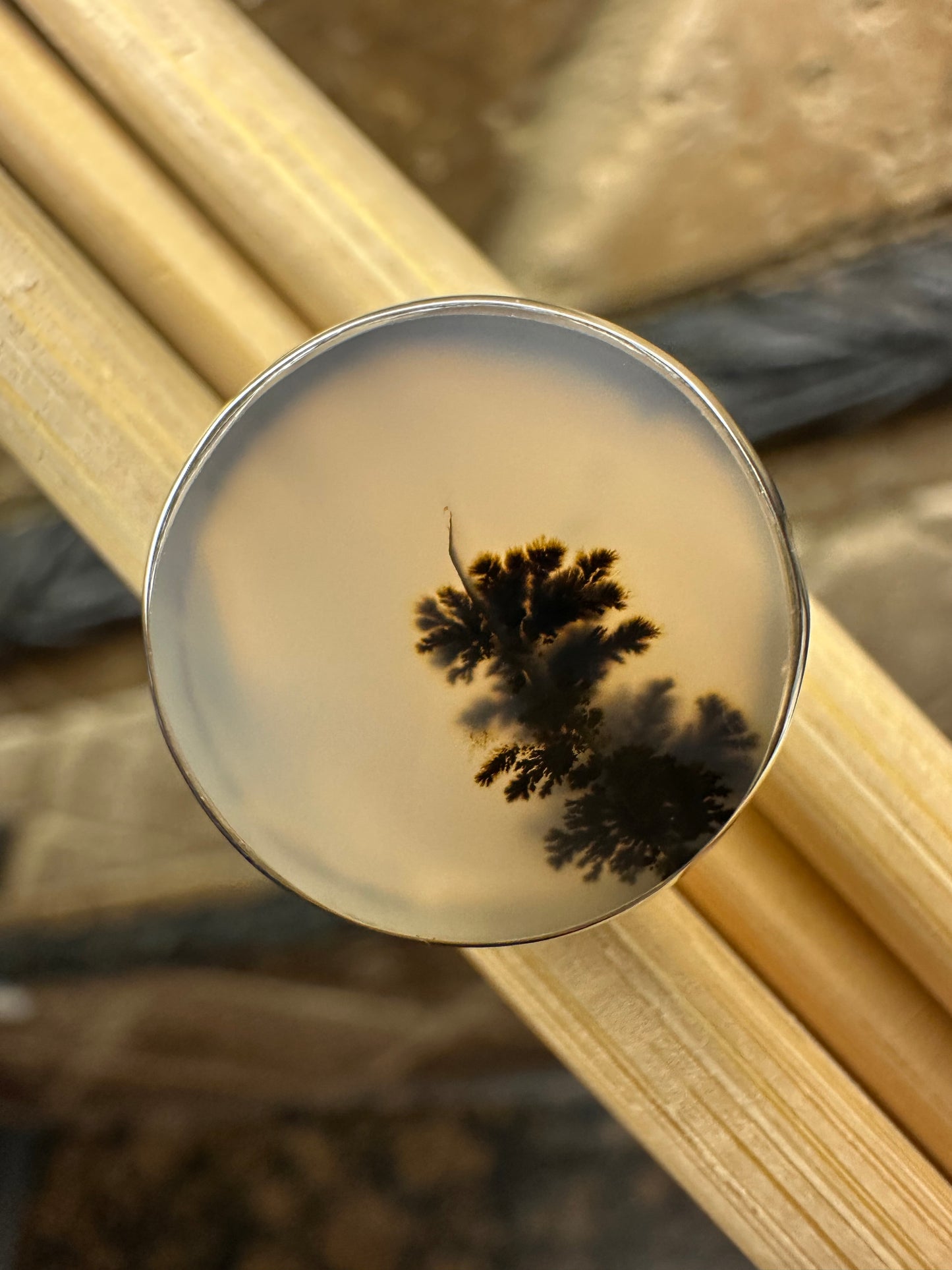 Genuine Georgian Scenic Dendritic Agate 925 Sterling Silver Ring Size 8