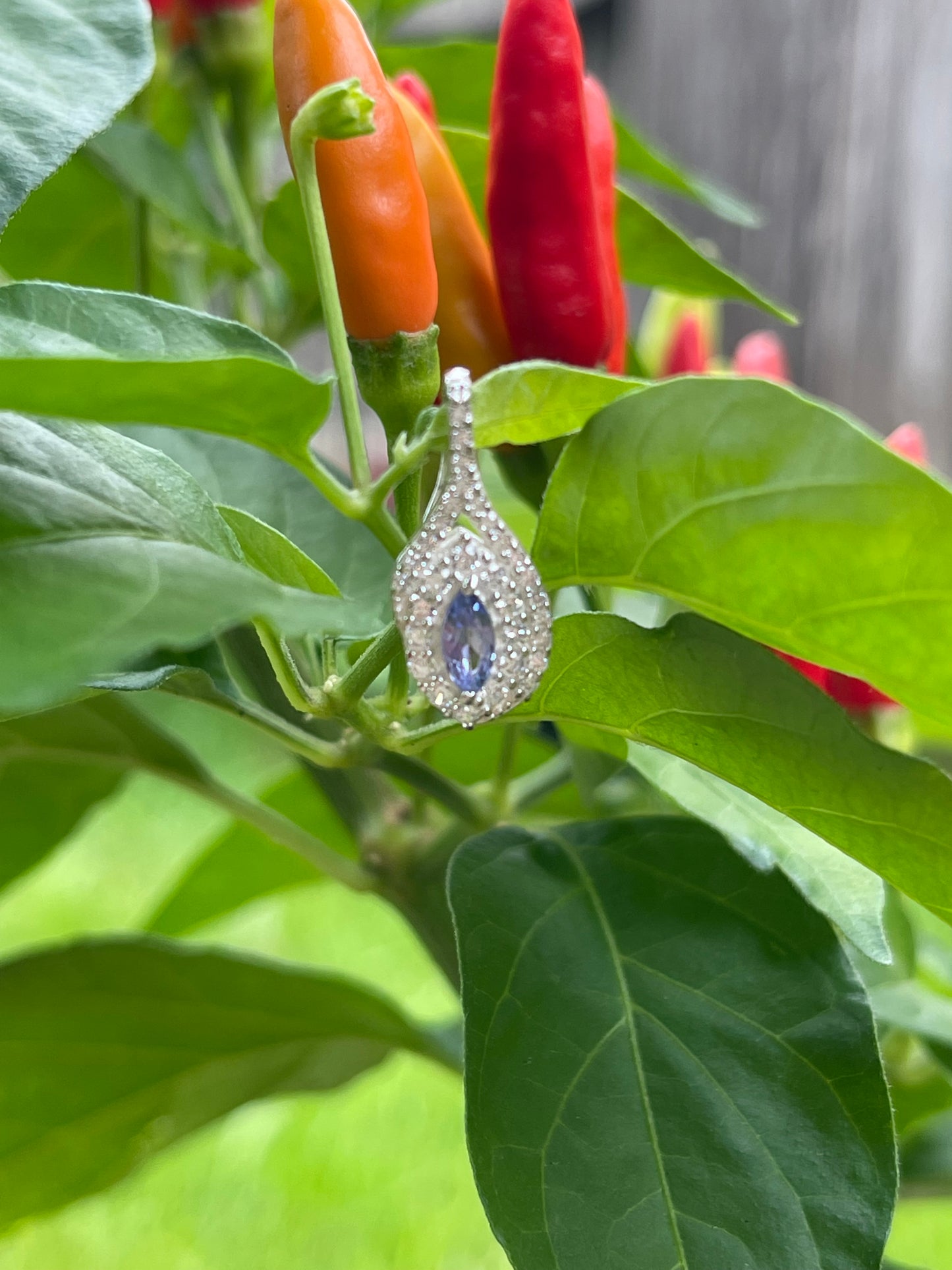 Genuine Tanzanite, White Sapphire 925 Solid Sterling Silver Pendant 18mm - Natural Rocks by Kala