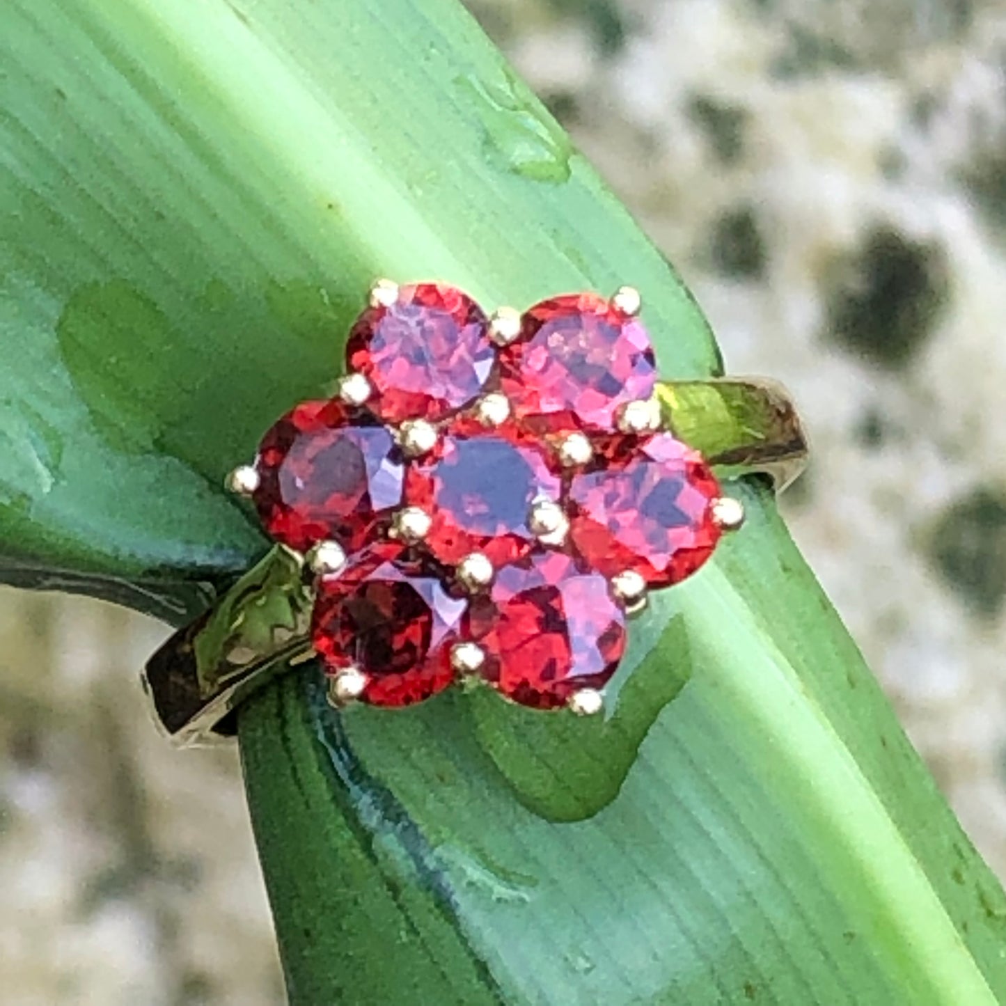 Natural 2ct Pyrope Garnet 14K Gold over Sterling Silver Ring Size 6, 7, 8, 9 - Natural Rocks by Kala
