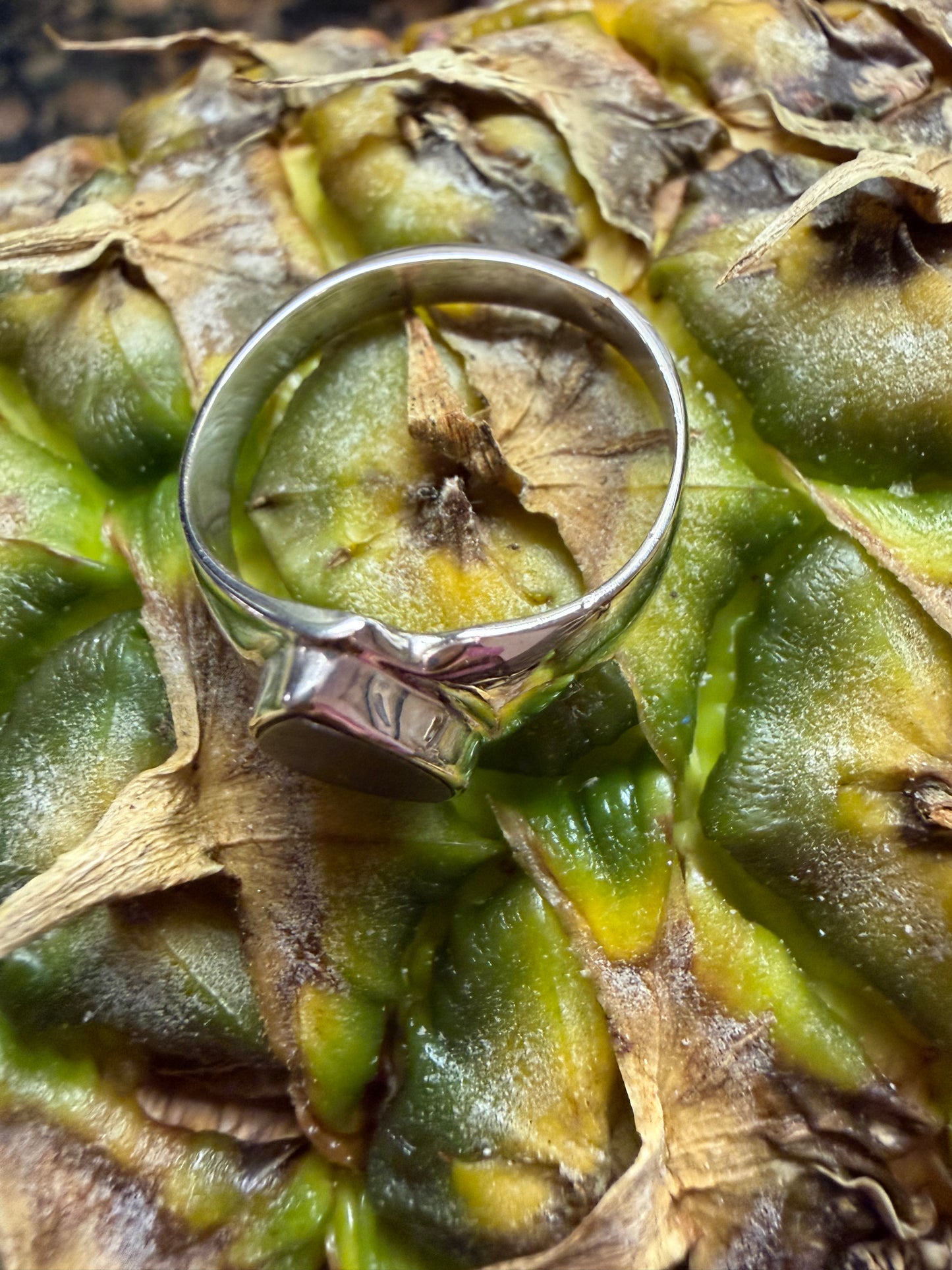 Natural Muonionalusta Meteorite Sweden 925 Solid Sterling Silver Ring Size 8.25