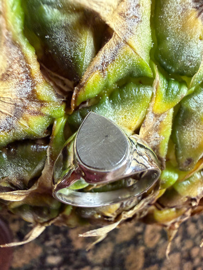 Natural Muonionalusta Meteorite Sweden 925 Solid Sterling Silver Ring Size 8.25