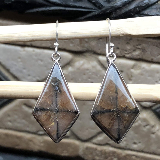 Natural Chiastolite 925 Solid Sterling Silver Earrings 40mm - Natural Rocks by Kala