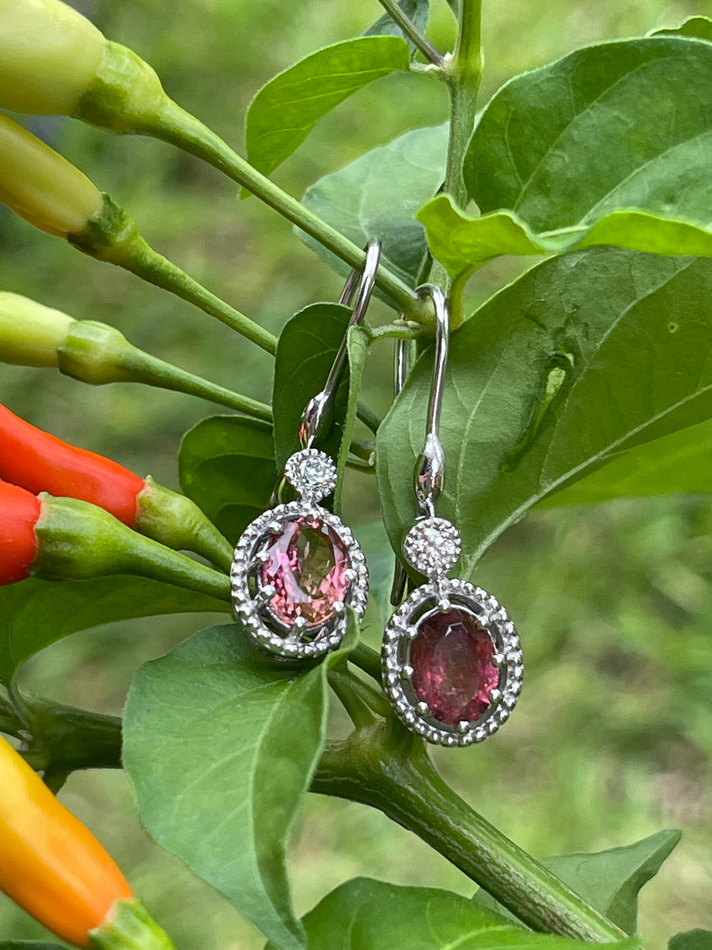 Natural 4ct Pink Tourmaline 925 Solid Sterling Silver Earrings 30mm - Natural Rocks by Kala