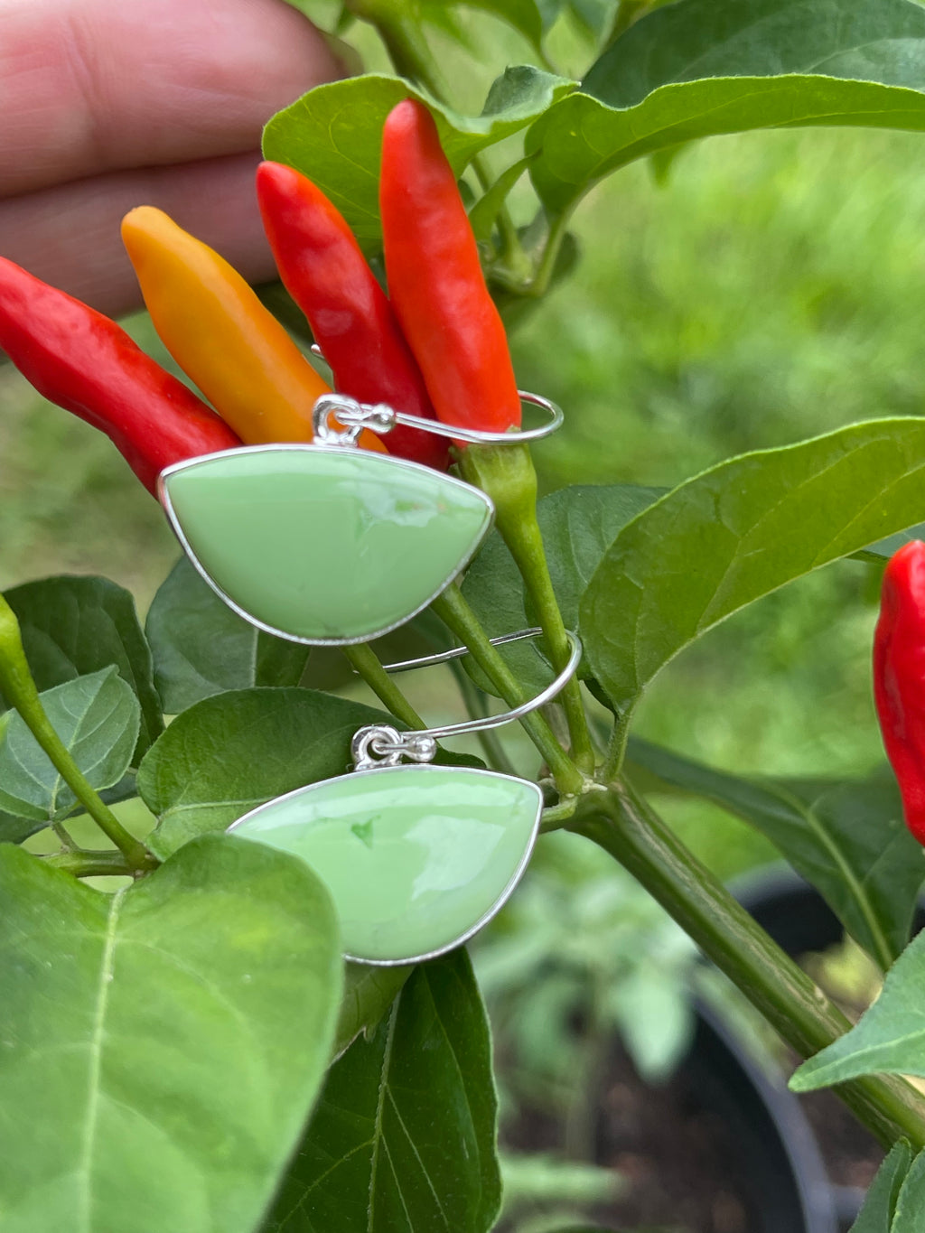 Natural Australian Lemon Chrysoprase 925 Sterling Silver Earrings 30mm - Natural Rocks by Kala